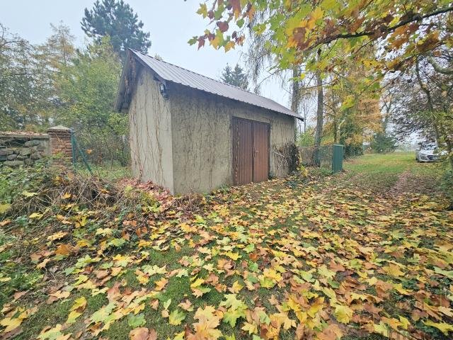 Zdjęcie 8