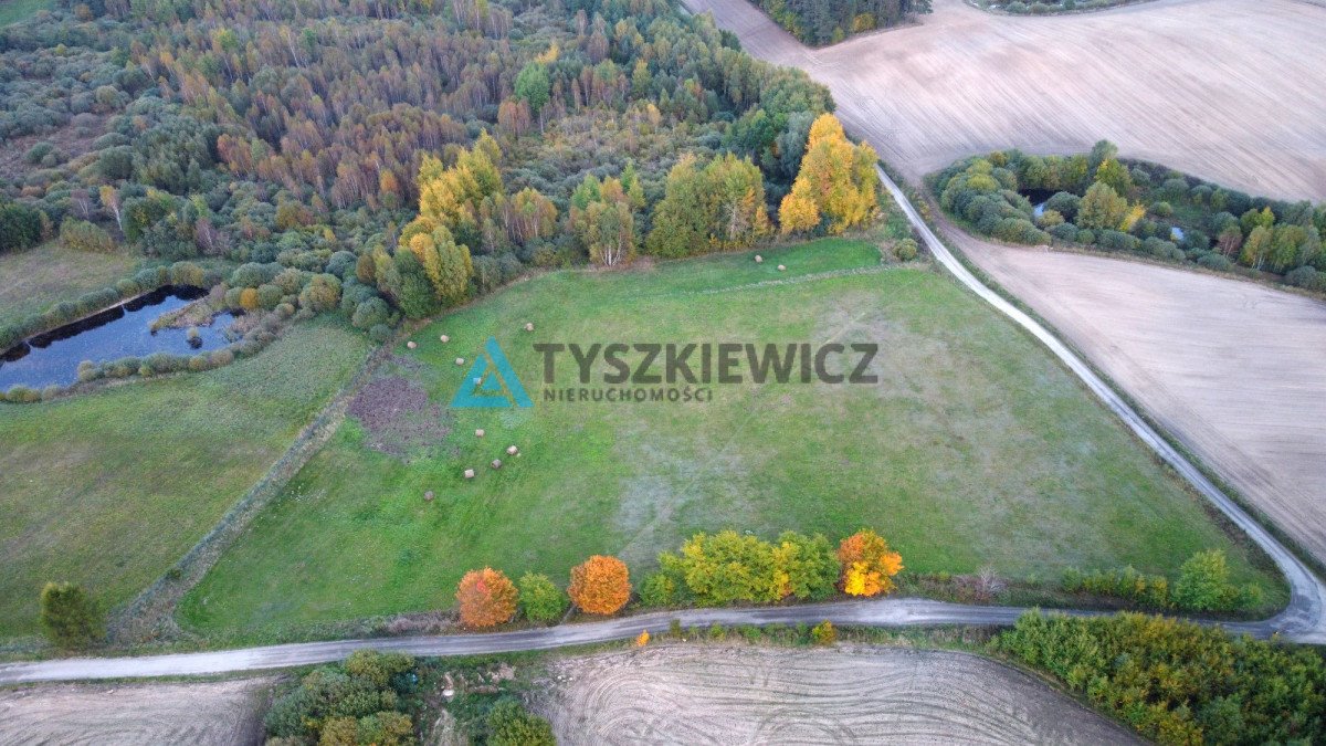 Działka siedliskowa na sprzedaż Olszanka, Malinowa  4 000m2 Foto 4