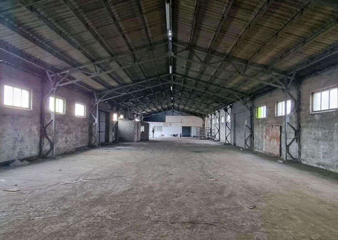 Magazyn na wynajem Mosina  800m2 Foto 5