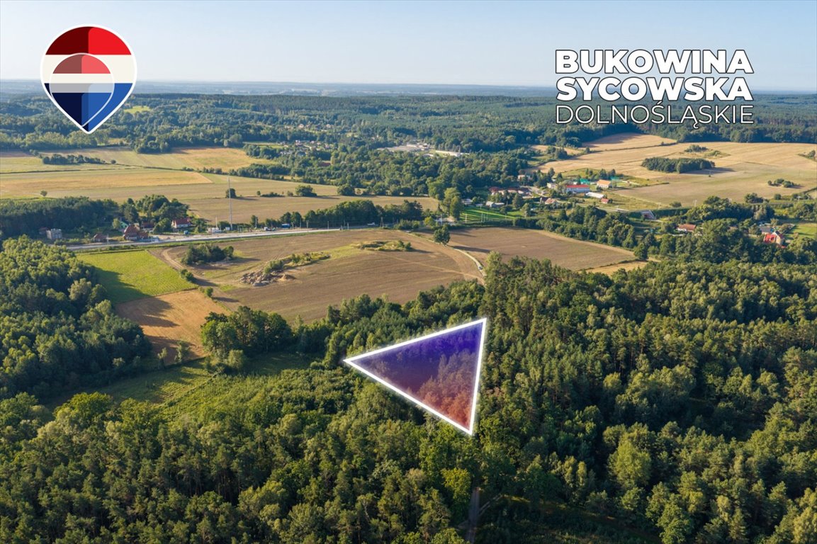 Działka leśna 3 600 m² w Bukowinie Sycowskiej zapraszam Bukowina Sycowska  3 600m2 Foto 1