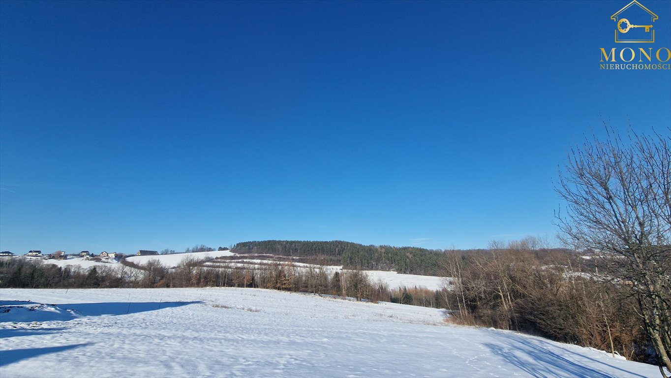 Działka budowlana na sprzedaż Krasne Potockie  4 200m2 Foto 7