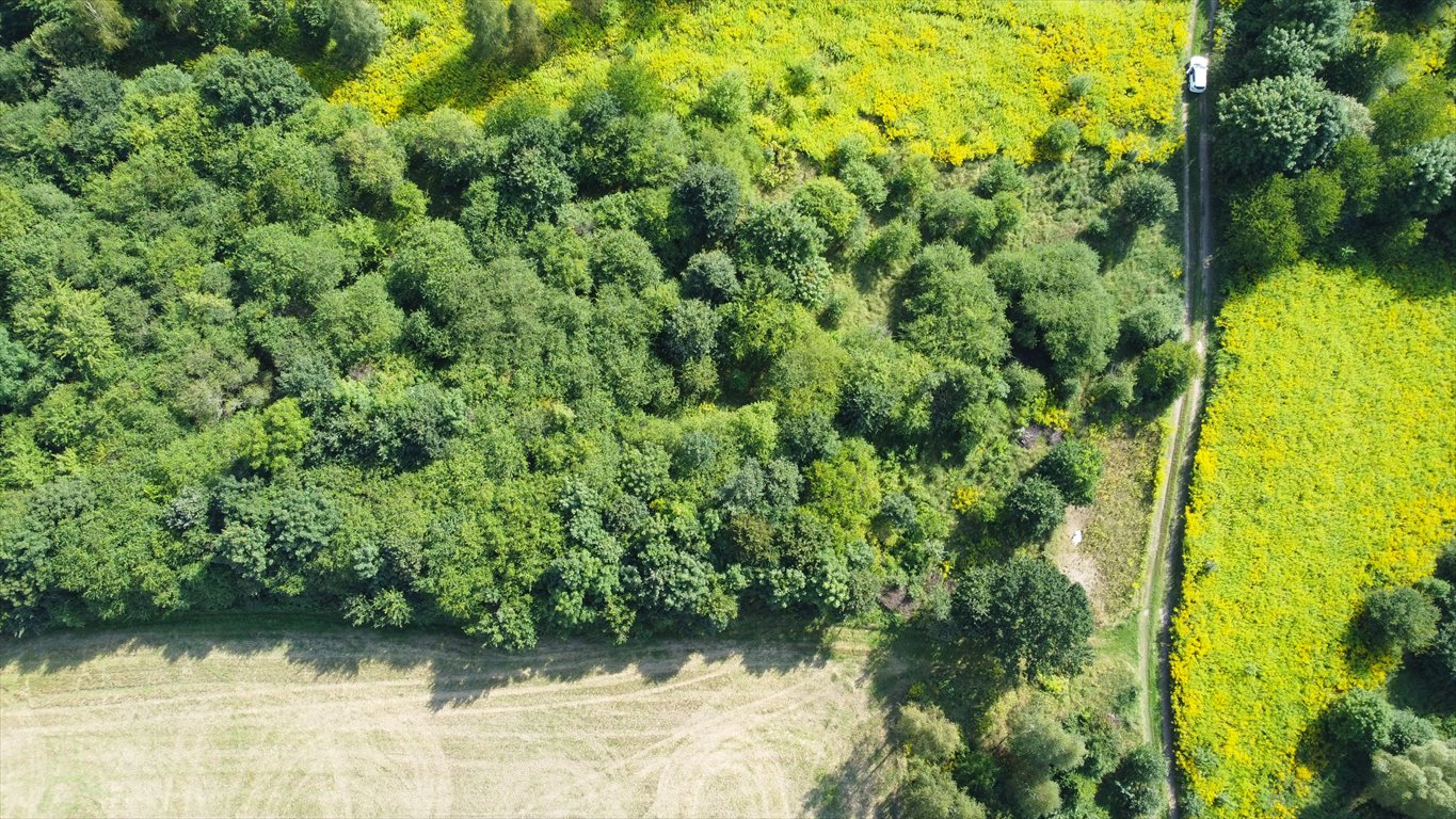 Działka rolna na sprzedaż Krąg  2 936m2 Foto 2