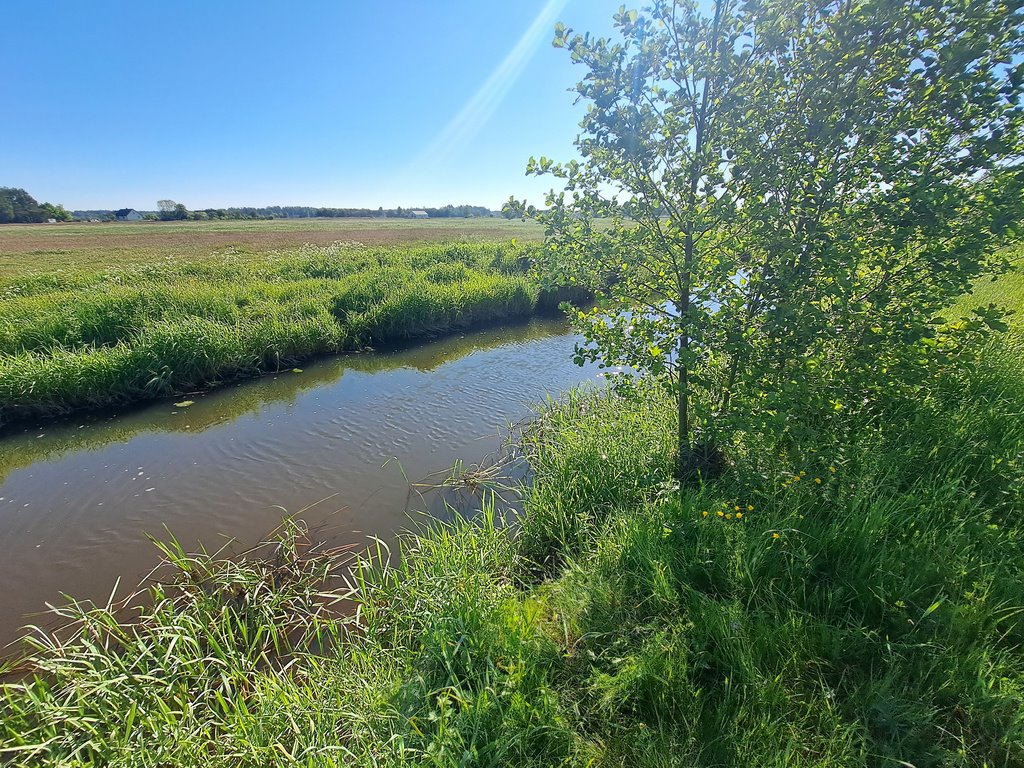 Działka budowlana na sprzedaż Golanka  1 347m2 Foto 13