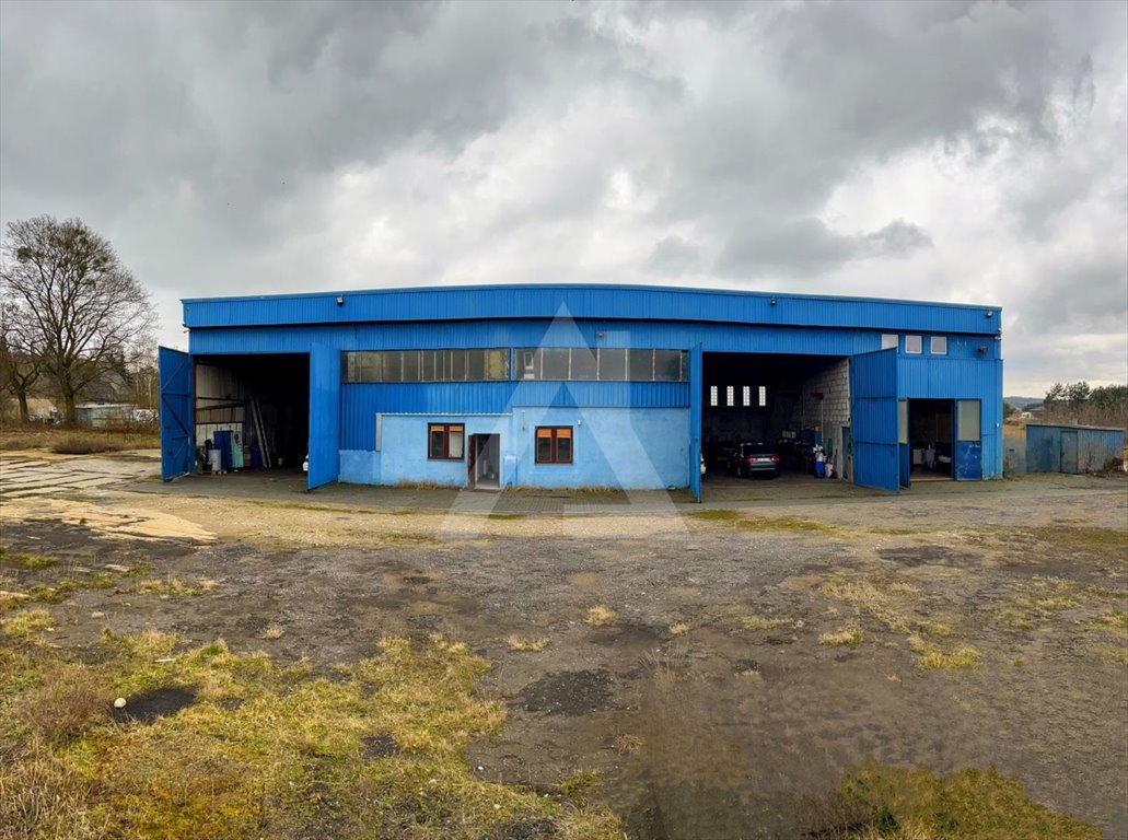 Magazyn na wynajem Brzoza  650m2 Foto 1