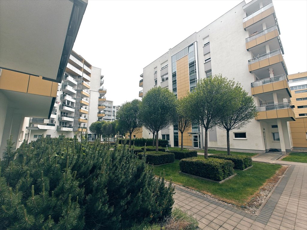Mieszkanie dwupokojowe na wynajem Poznań, Grunwald, Grunwald Północ, Marcelińska  35m2 Foto 9