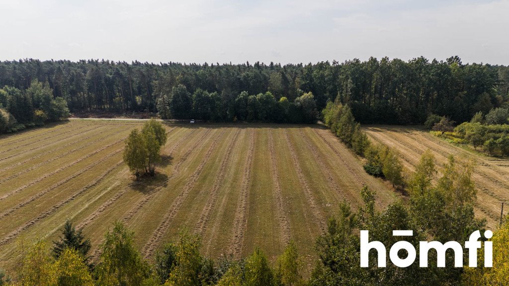 Działka budowlana na sprzedaż Makowiec, Gajowa  10 500m2 Foto 12