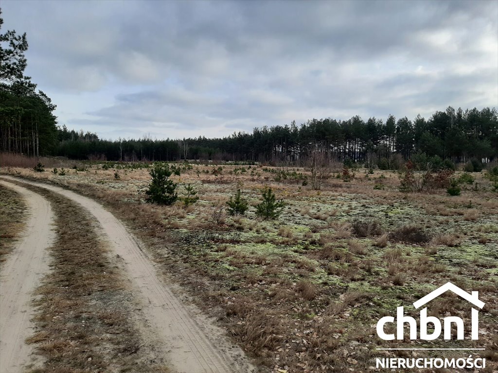 Działka inwestycyjna 15 939 m2 z planem wielorodzinnym Czersk  15 939m2 Foto 1