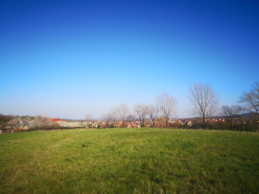 Działka budowlana na sprzedaż Świebodzice  5 764m2 Foto 1