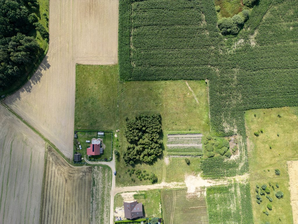 Działka inna na sprzedaż Borcz  1 381m2 Foto 1