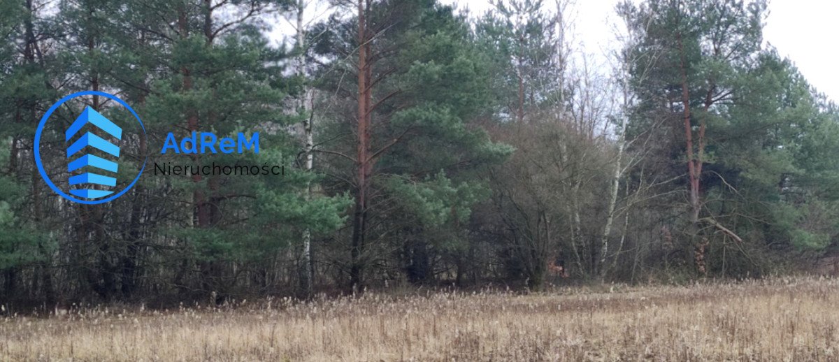 Działka budowlana na sprzedaż Głosków  1 000m2 Foto 1