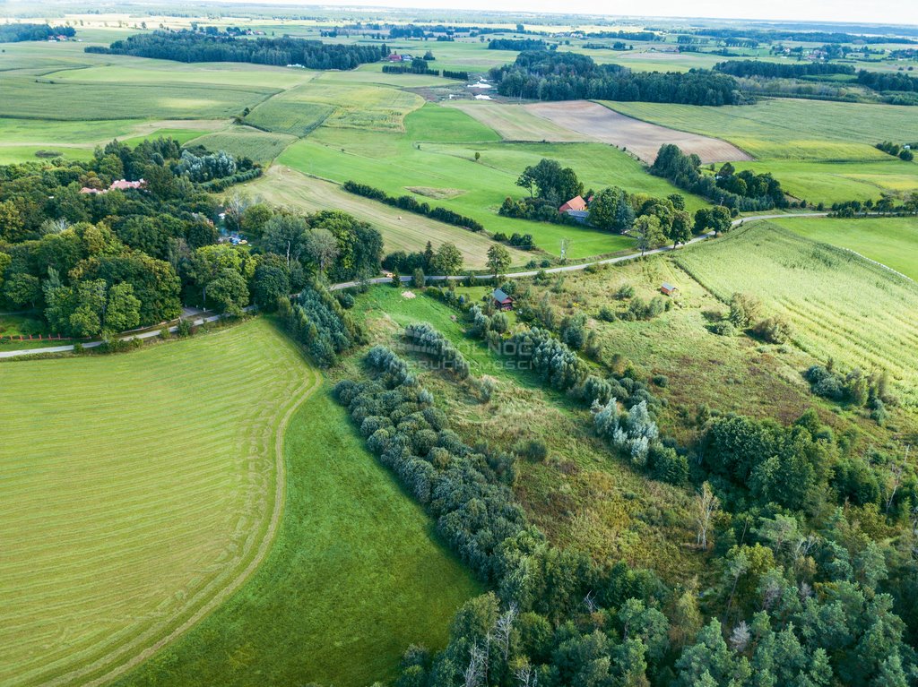 Działka rolna na sprzedaż Golubie  3 687m2 Foto 4