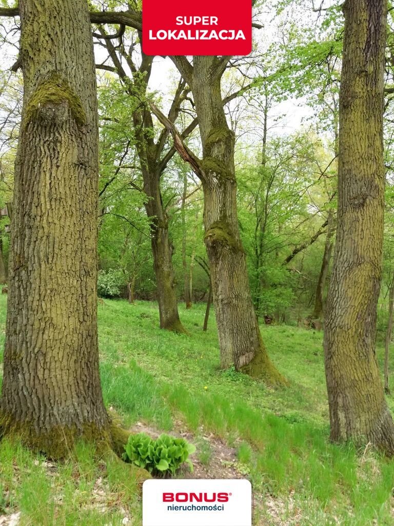 Działka 5000 m² z widokiem na Wisłę - polecam Józefów  5 000m2 Foto 1