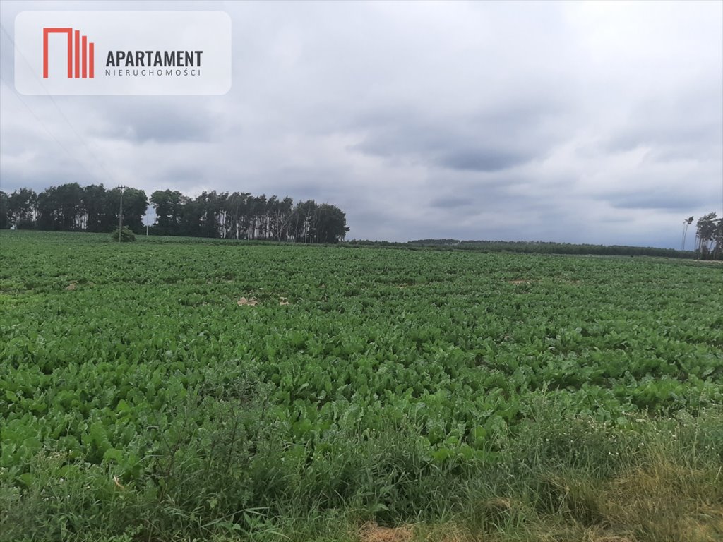 Działka gospodarstwo rolne na sprzedaż Józefinka  1 059m2 Foto 2