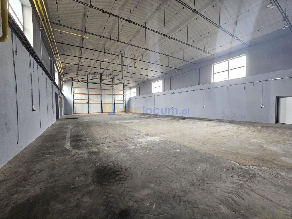 Lokal użytkowy na wynajem Kielce, Czarnów, Kolberga  1 100m2 Foto 2