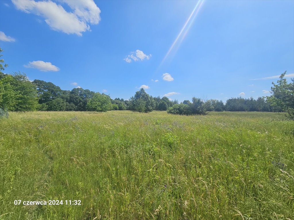 Działka budowlana na sprzedaż Józefów, Józefów, Leśna  2 112m2 Foto 5