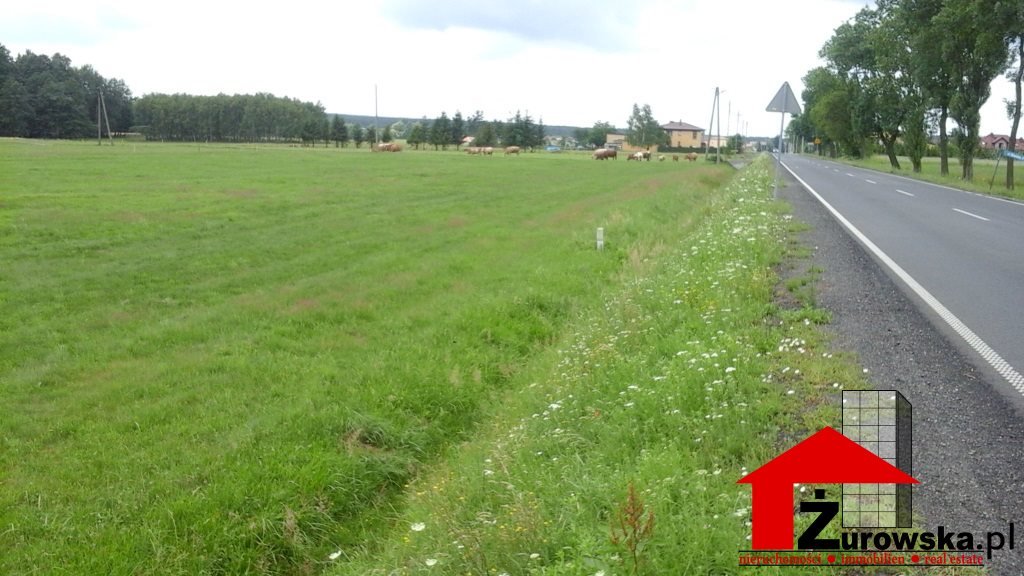 Działka inwestycyjna na sprzedaż Krapkowice  110 000m2 Foto 1