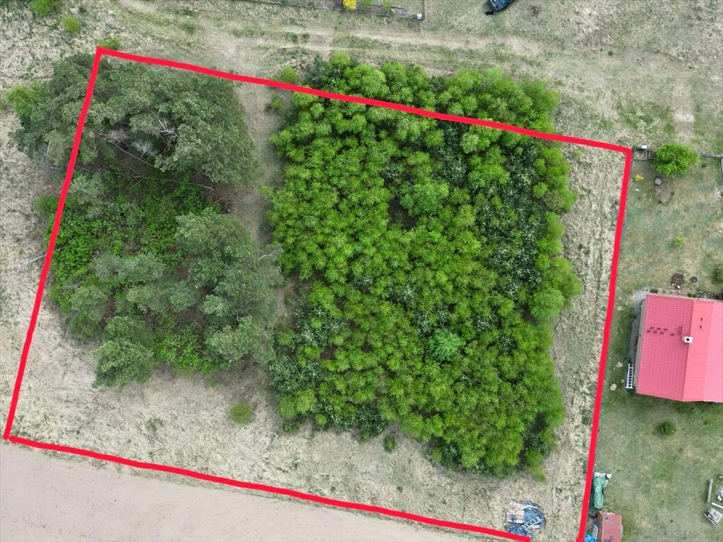 Do sprzedania działka 2348 m² z prywatnym lasem w Kaszubach Sikorzyno, Spokojna  2 348m2 Foto 1