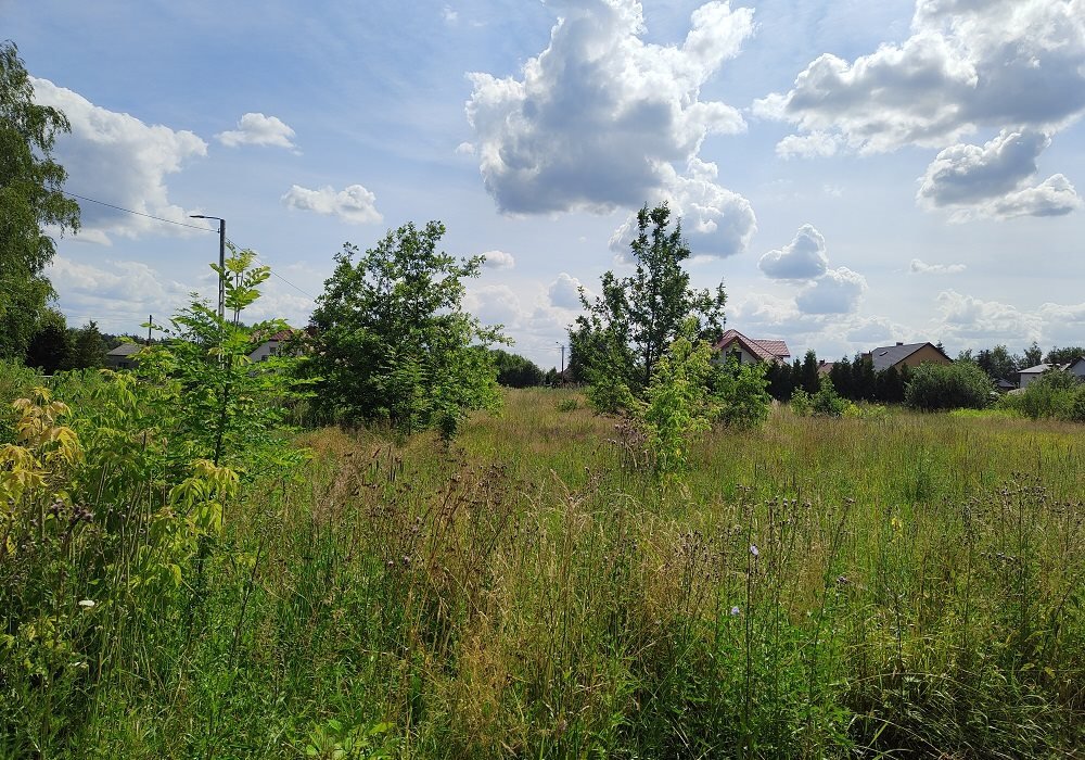 Działka budowlana na sprzedaż Piastów, Aleksego Grobickiego  832m2 Foto 4