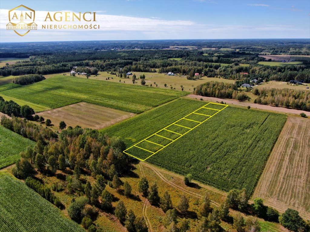Działka rolna na sprzedaż Skrybicze  1 000m2 Foto 1