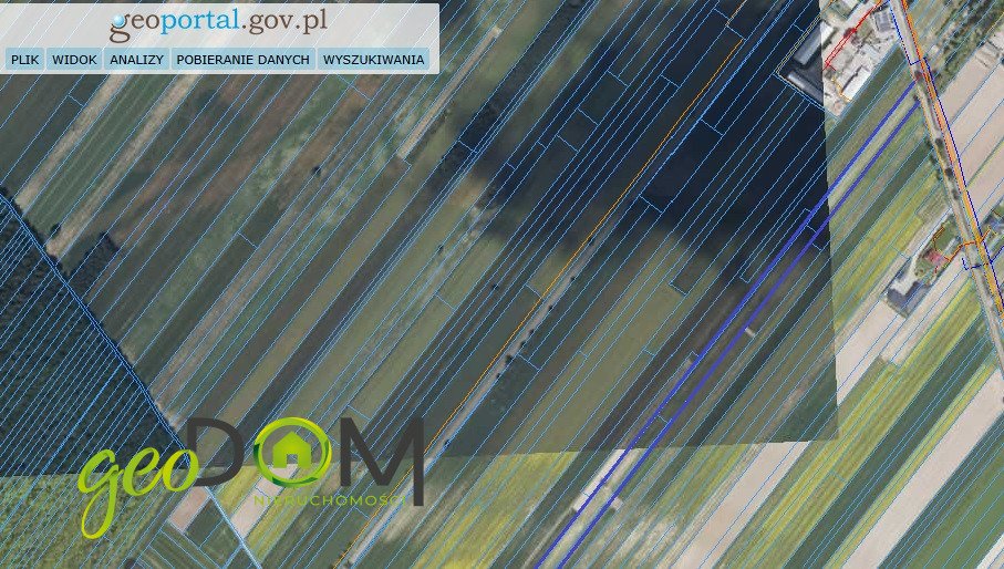 Na sprzedaż działka 2,385 ha z zabudową i rolami w Kępie Borzechowskiej Kępa Borzechowska  24 000m2 Foto 1