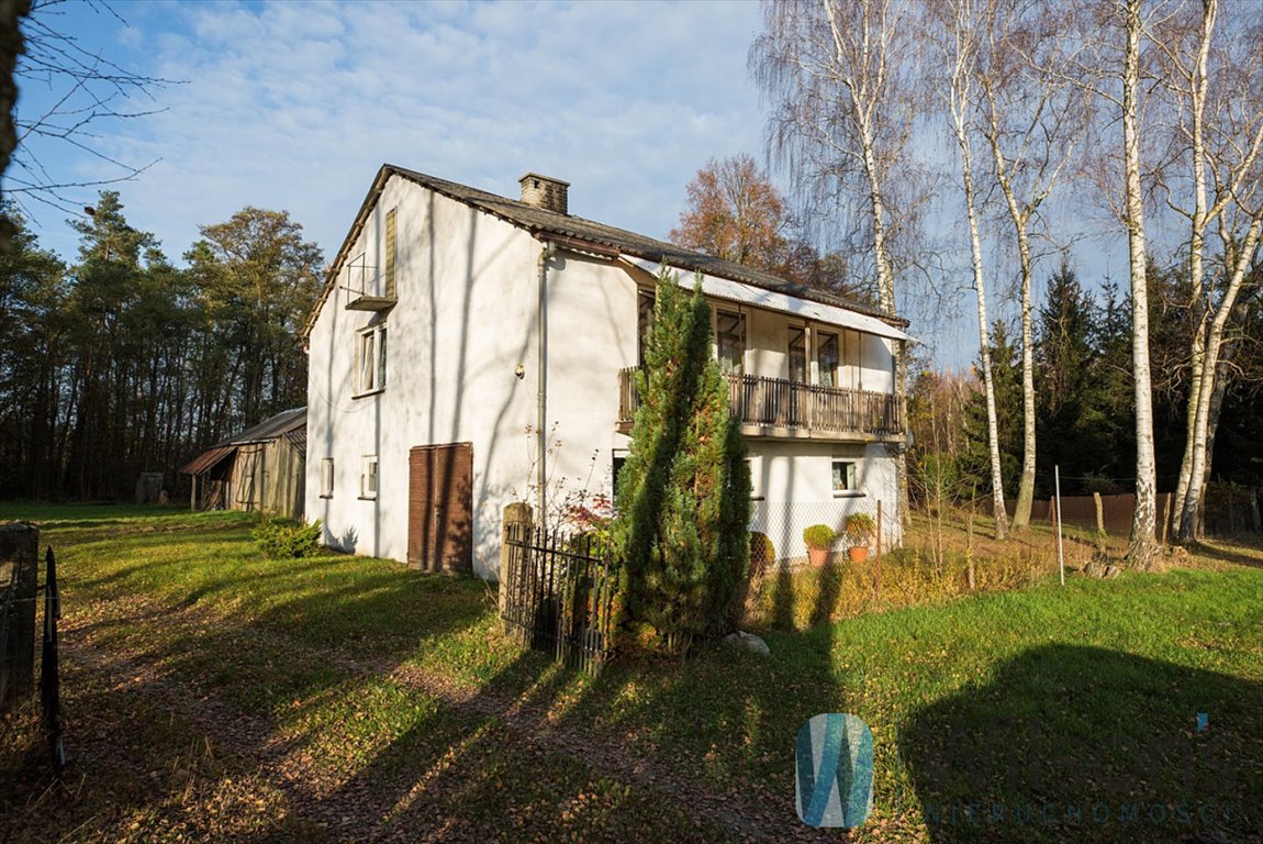 Sprzedam posiadłość z sadem, lasem i domem 70 558 m² Gąba  70 558m2 Foto 1