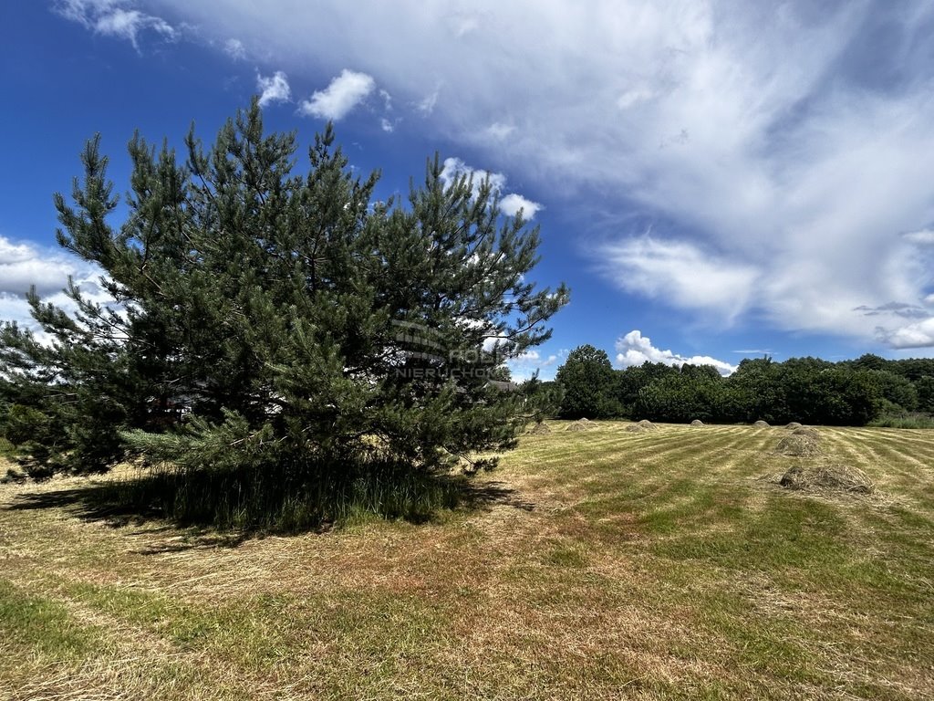 Działka budowlana na sprzedaż Skrzyszów  836m2 Foto 6