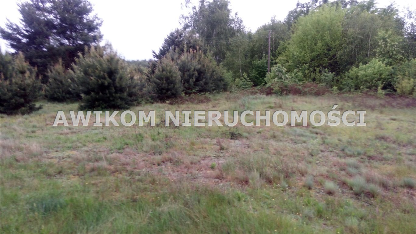 Polecam działkę 0,87 ha z lasami w Lipcach Reymontowskich Lipce Reymontowskie  8 696m2 Foto 1