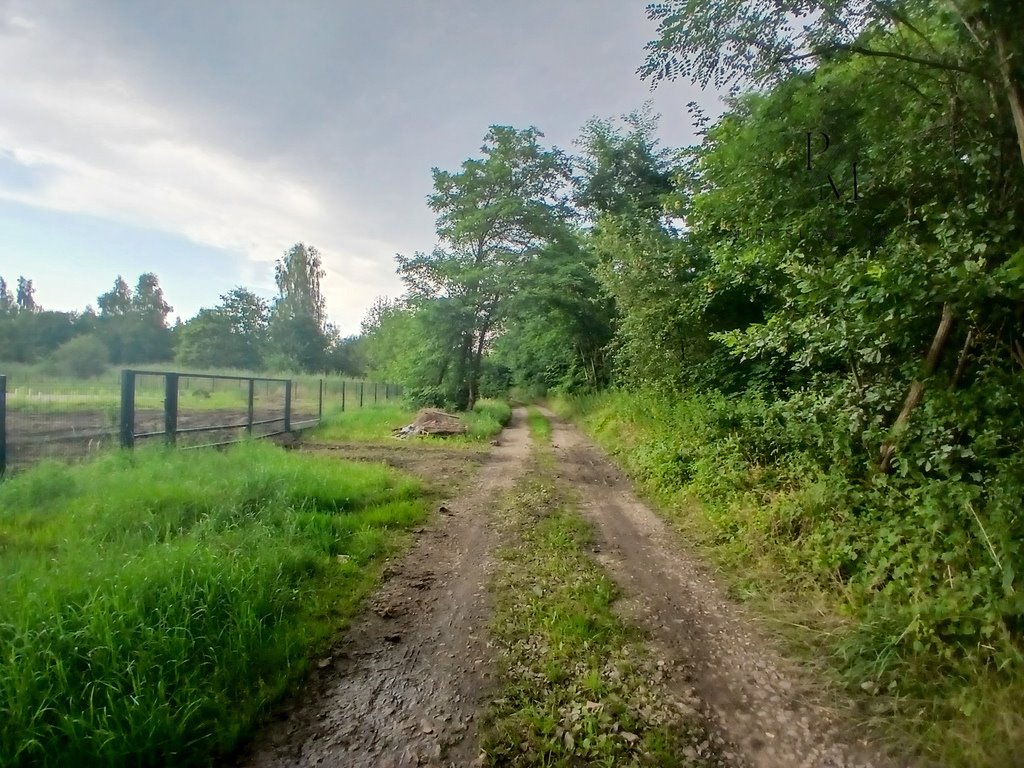 Działka budowlana na sprzedaż Pęgów  1 700m2 Foto 5