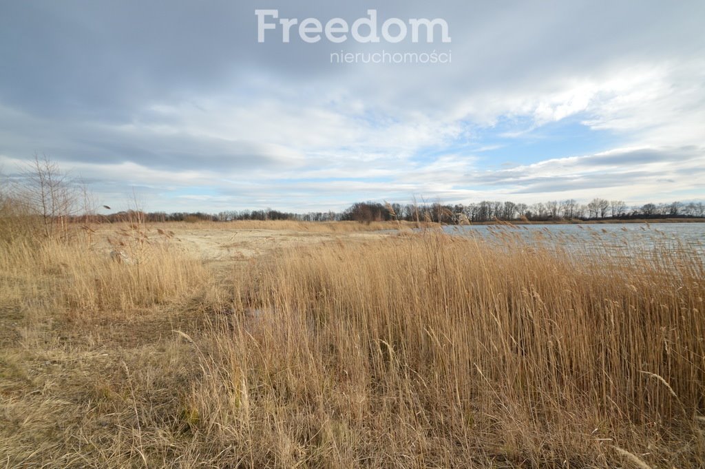 Działka inwestycyjna na sprzedaż Brzeziny  520 000m2 Foto 20