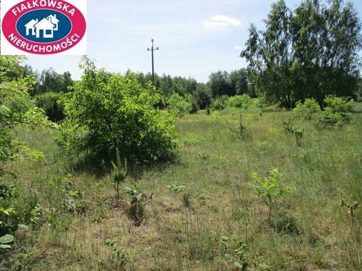 Działka budowlana na sprzedaż Długokąty  19 000m2 Foto 4