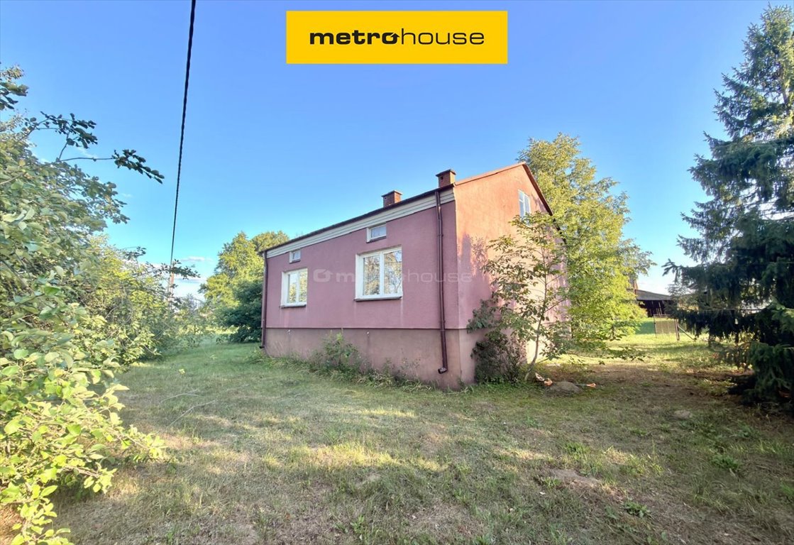 Urokliwe siedlisko 3 904 m² z domem i potencjałem Wężyczyn  110m2 Foto 1