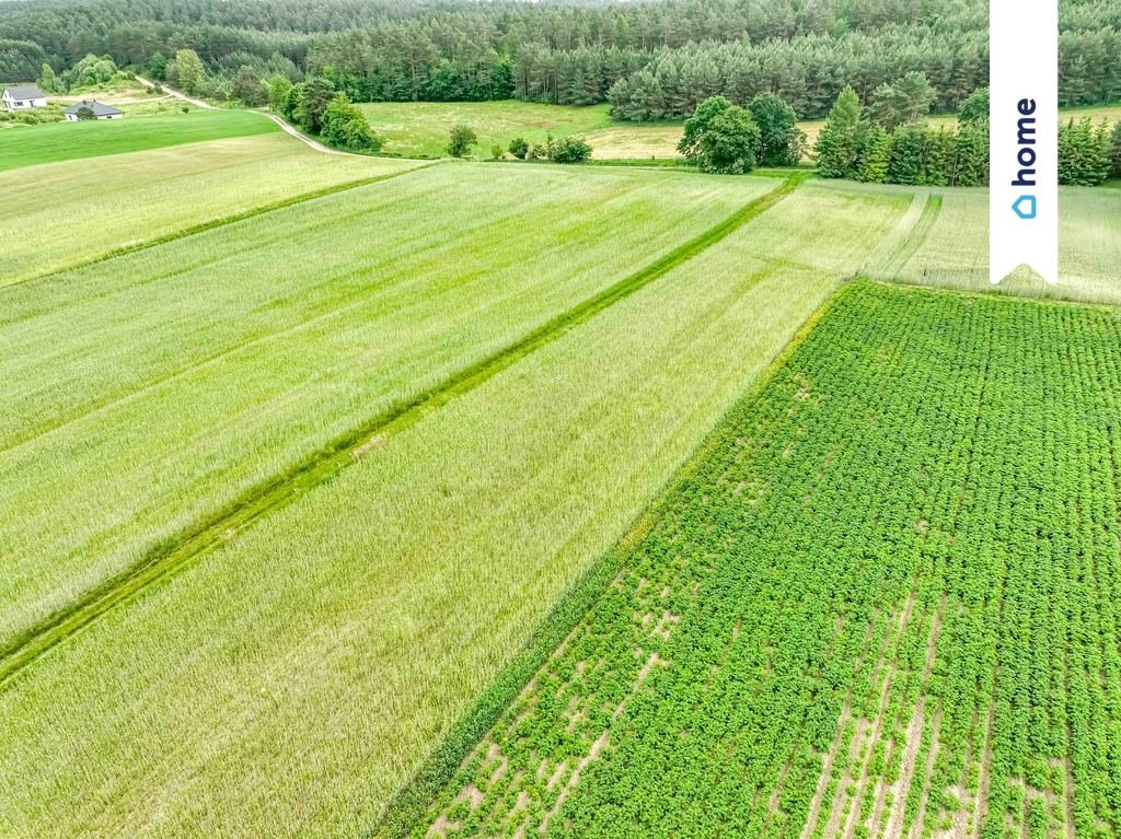 Działka budowlana na sprzedaż Kobysewo, Długa Ryga  37 000m2 Foto 16