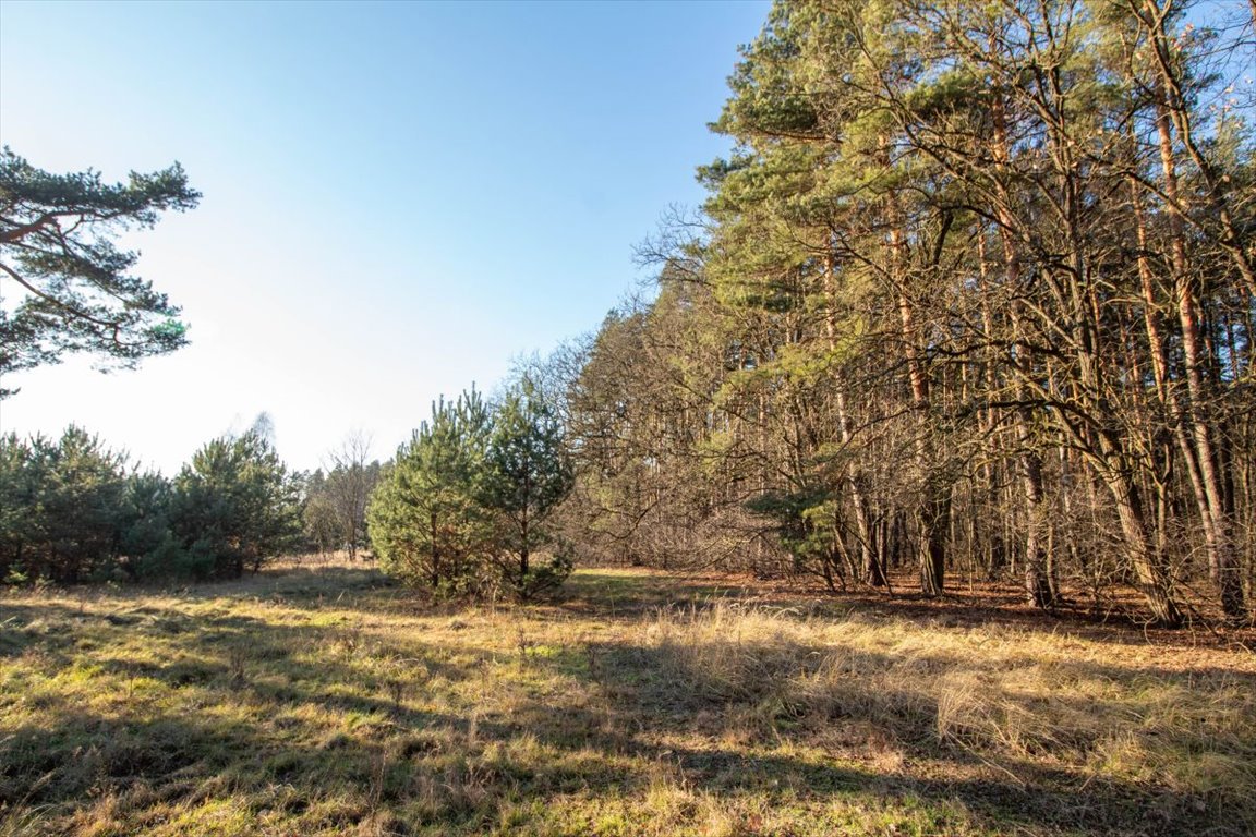 Działka budowlana na sprzedaż Tanina, Brasowe  80 411m2 Foto 8