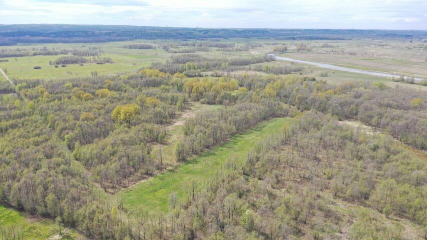 Pastwisko 1,22 ha z leśnym charakterem i bliskością Narwi Pniewo  12 210m2 Foto 1