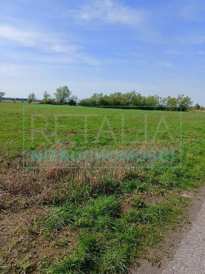 Działka 4730 m² z możliwością podziału i warunkami zabudowy Basin  4 730m2 Foto 1