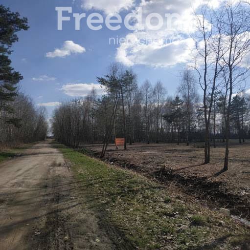 Działka budowlana na sprzedaż Ludwików  3 000m2 Foto 5