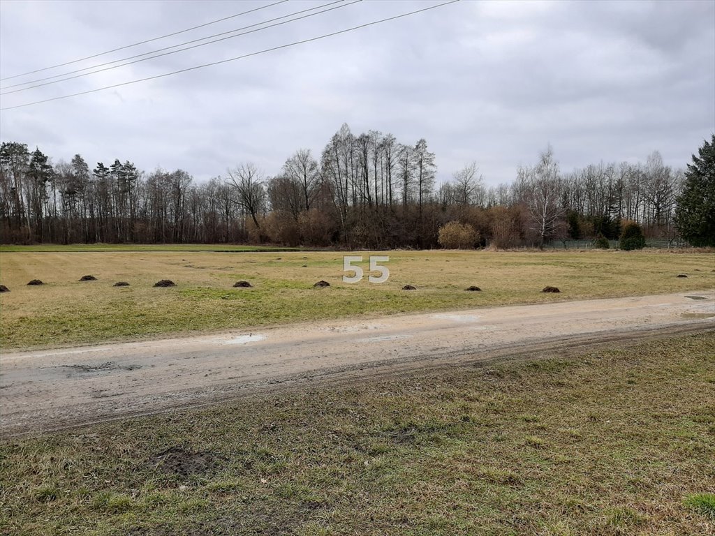 Działka inna na sprzedaż Wrzeszczewice  12 740m2 Foto 5