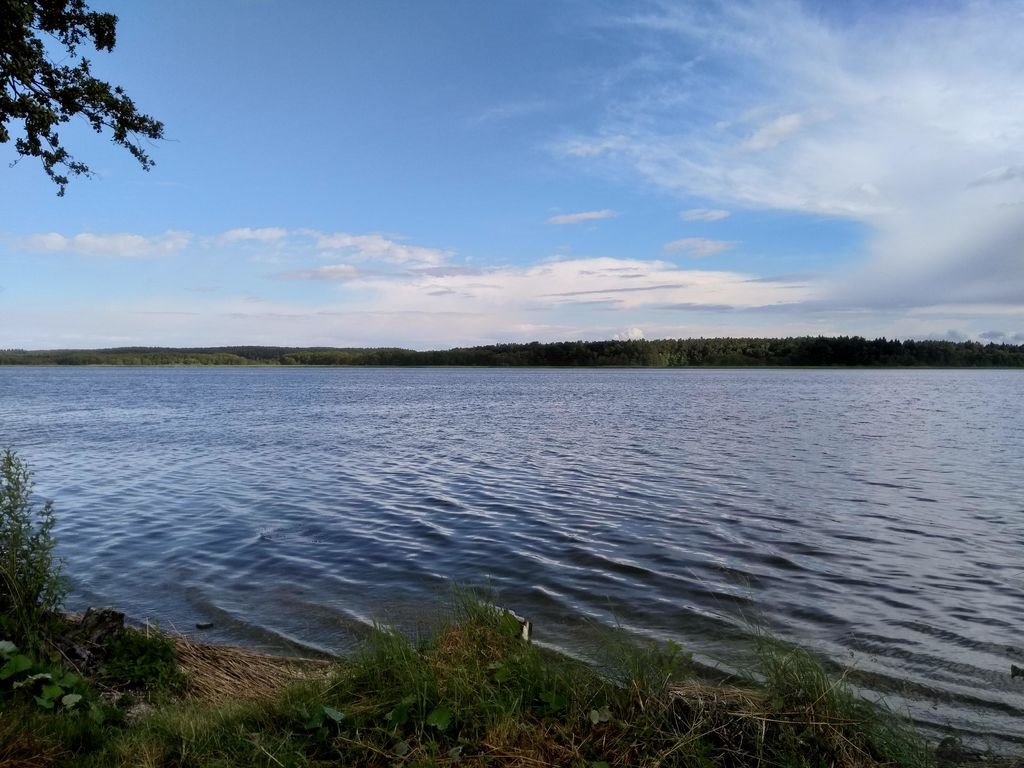 Działka budowlana na sprzedaż Lubieszewo  2 583m2 Foto 2