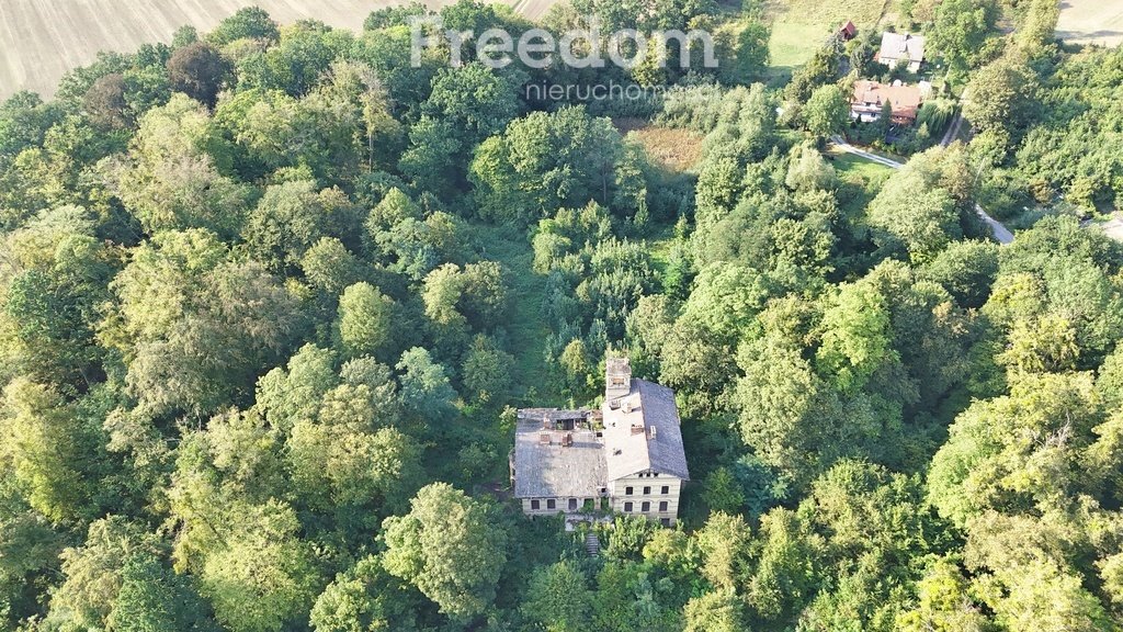 Lokal użytkowy na sprzedaż Jeziorno  900m2 Foto 6