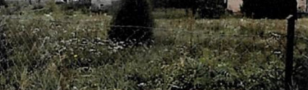 Działka inna na sprzedaż Tyrowo 1 121m2 Foto 1 Działka inna na sprzedaż Tyrowo 1 121m2 Foto 1