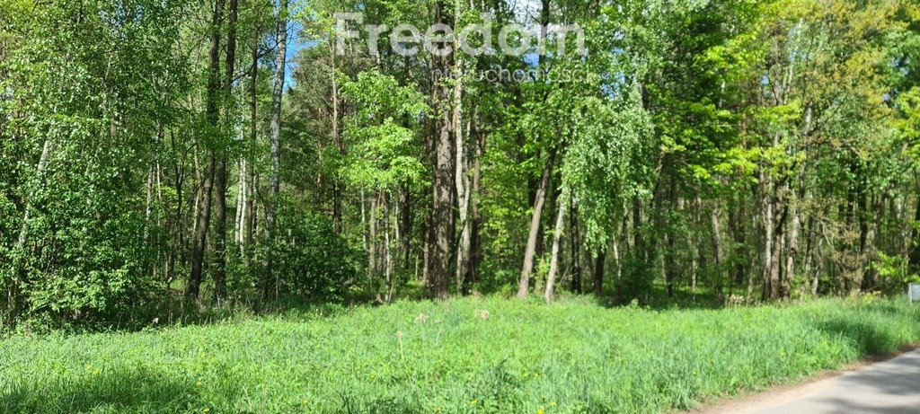 Działka rolna na sprzedaż Wiśniew  5 900m2 Foto 1