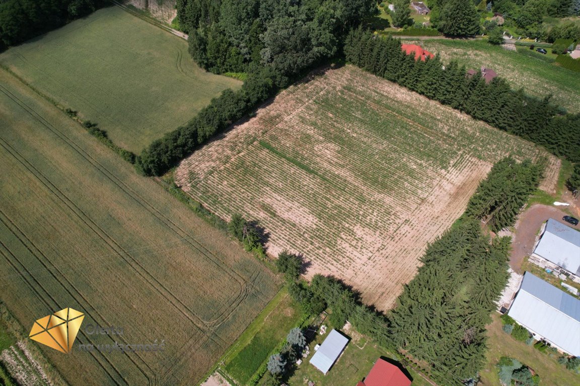 Działka inna na sprzedaż Konopnica, Zemborzyce Tereszyńskie  14 359m2 Foto 5