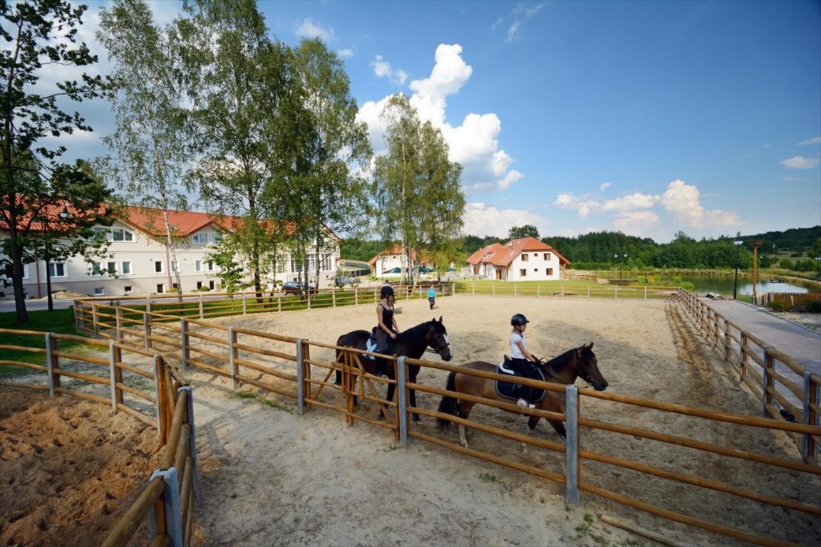 Działka inna na sprzedaż Chrusty, Laskowa 95  77 877m2 Foto 10