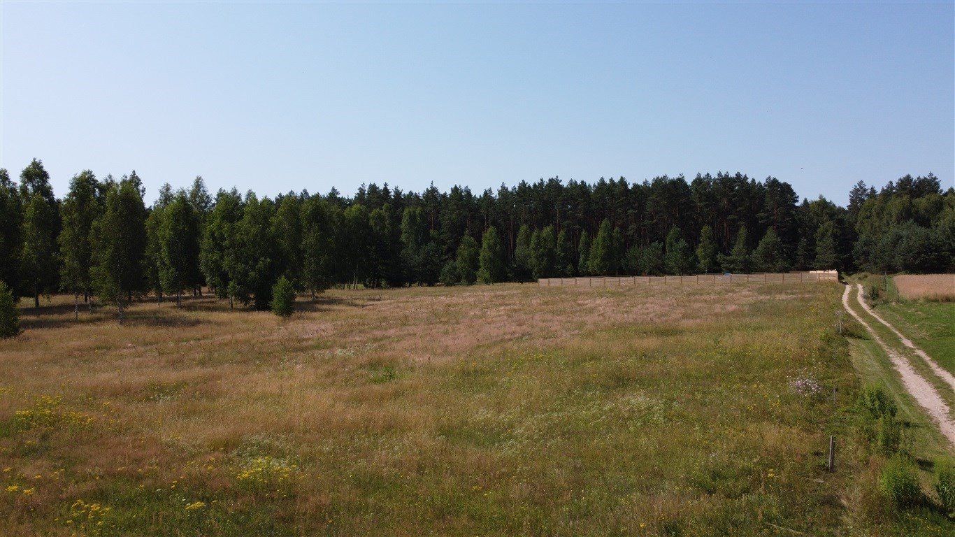 Działka 3200 m² z warunkami zabudowy, las, cisza, natura Szudziałowo  3 200m2 Foto 1