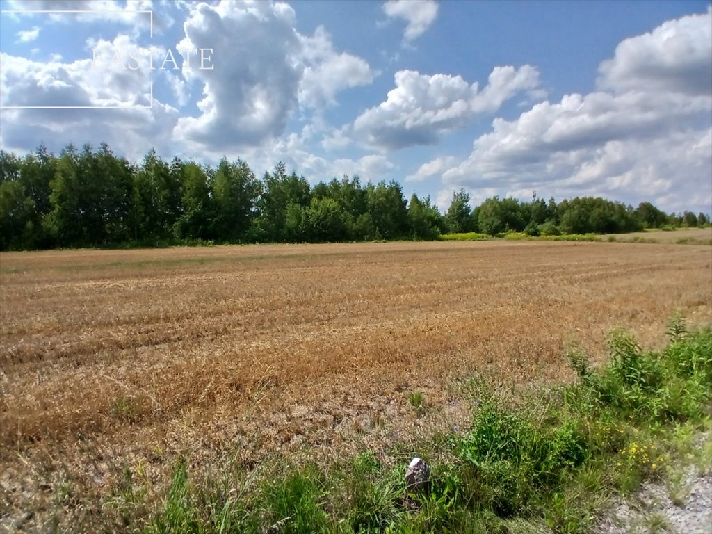 Działka budowlana na sprzedaż Krze Duże  5 700m2 Foto 1