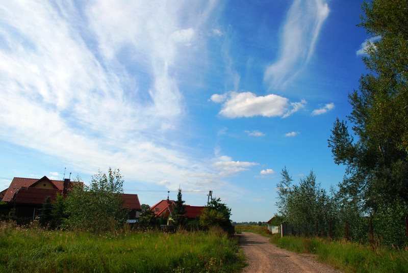 Działka rolna pod dzierżawę Łomianki, Pieńków 23 197m2 Foto 1 Działka rolna pod dzierżawę Łomianki, Pieńków 23 197m2 Foto 1