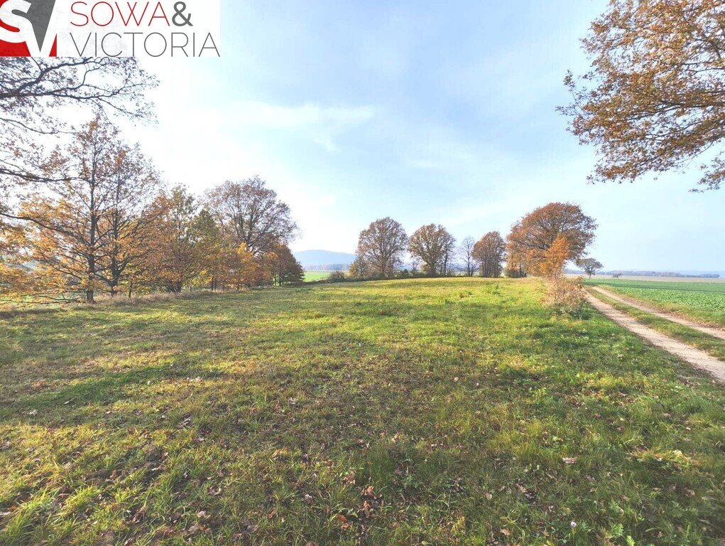 Działka z widokiem, warunki zabudowy, 1700 m2, Górczyca Górczyca  1 700m2 Foto 1