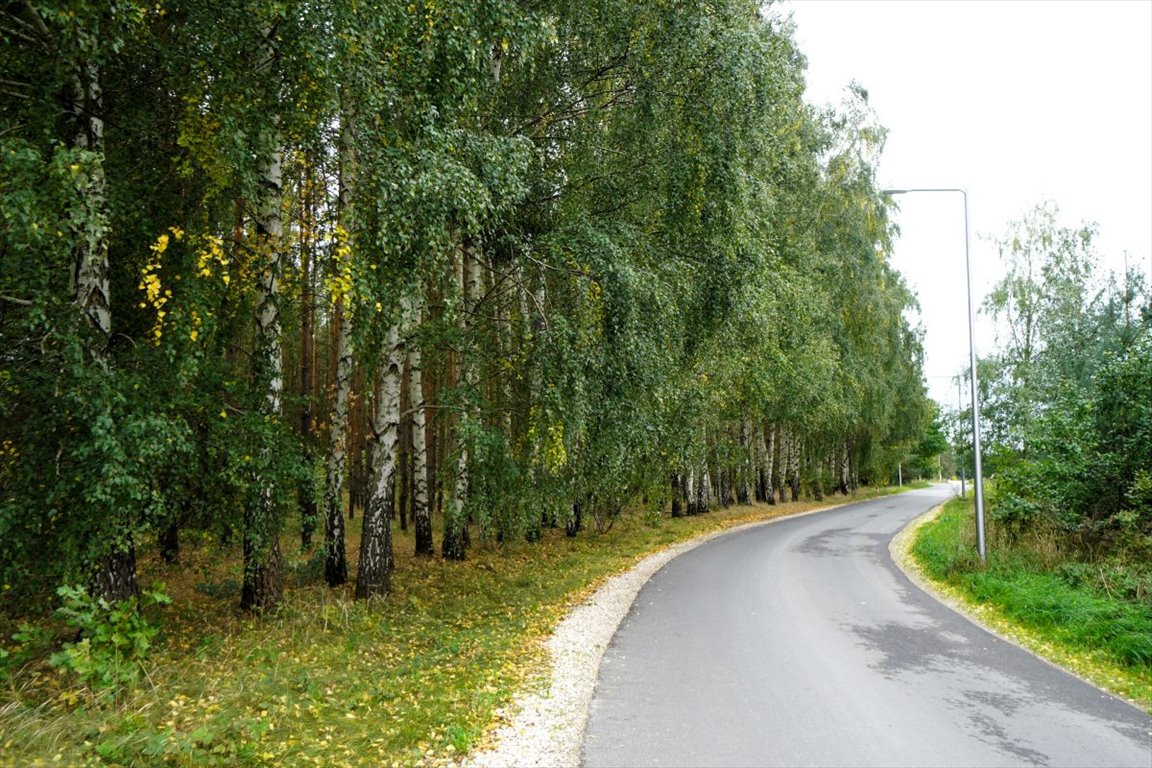 Działka budowlana na sprzedaż Korfowe  7 000m2 Foto 4