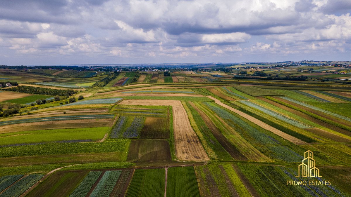 Działka gospodarstwo rolne na sprzedaż Czulice  6 900m2 Foto 3