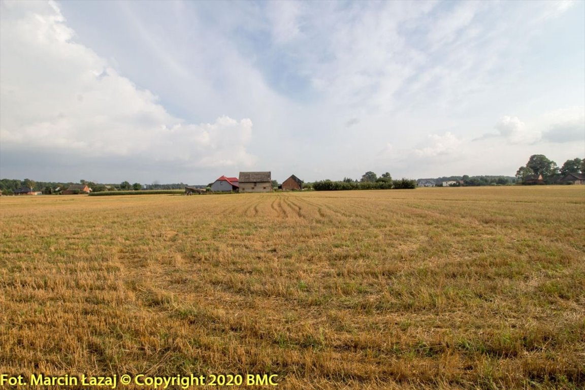 Działka budowlana na sprzedaż Pawełki  1 293m2 Foto 7